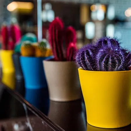 Park Sankt Peterburg 4* Plovdiv