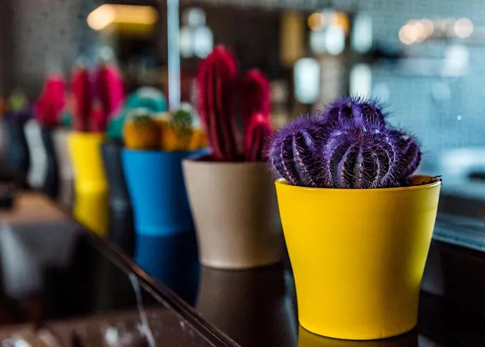 Park Sankt Peterburg 4* Plovdiv