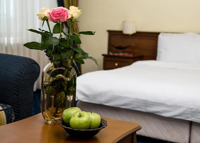 Park Sankt Peterburg Hotell